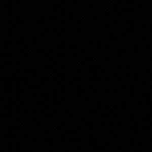 Meet your Posher, Rosa